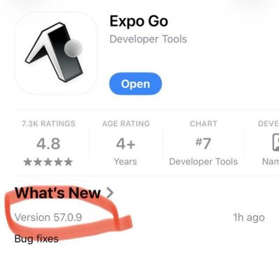 Apakah Expo Go Masih Cocok Untuk Development Di 2026 ?